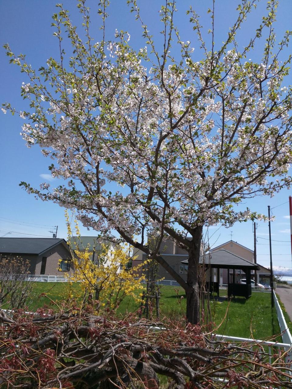 Sora One Stay & Yoga Asahikawa Exterior photo